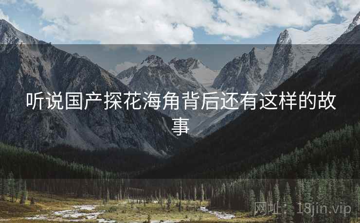 听说国产探花海角背后还有这样的故事  第2张