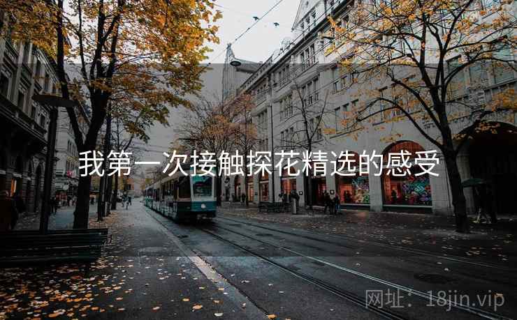 我第一次接触探花精选的感受  第1张