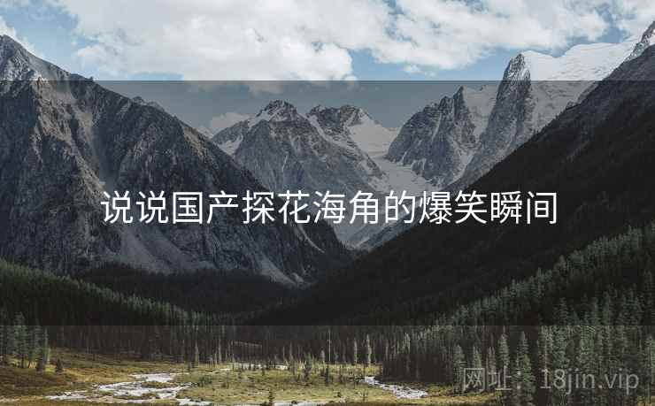 说说国产探花海角的爆笑瞬间  第2张