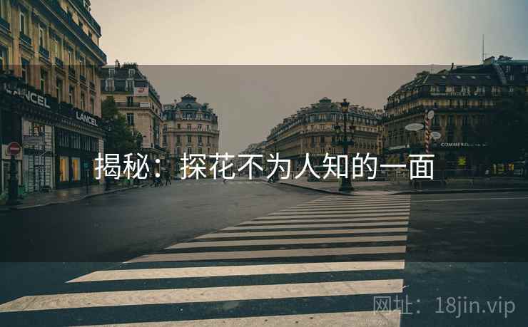 揭秘：探花不为人知的一面  第1张