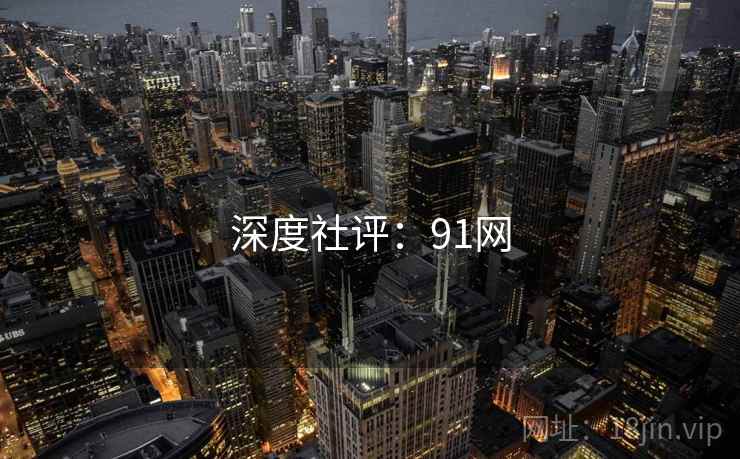 深度社评：91网  第1张
