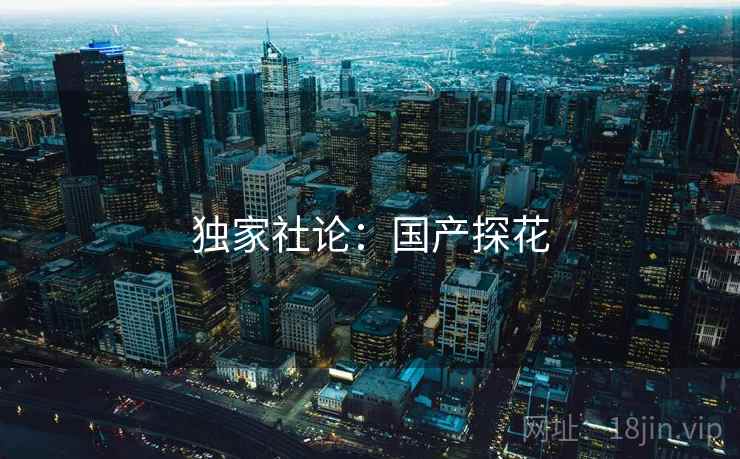 独家社论：国产探花  第2张