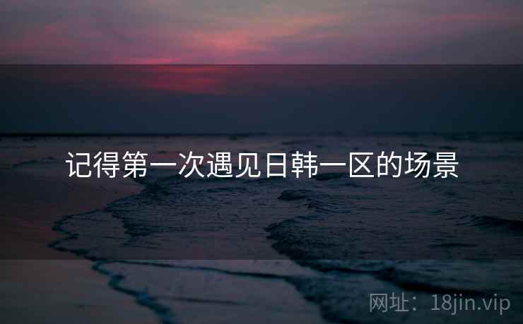 记得第一次遇见日韩一区的场景  第2张