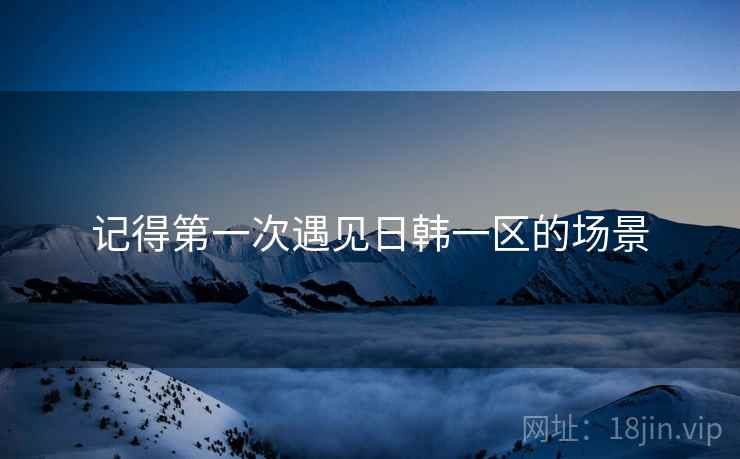 记得第一次遇见日韩一区的场景  第1张