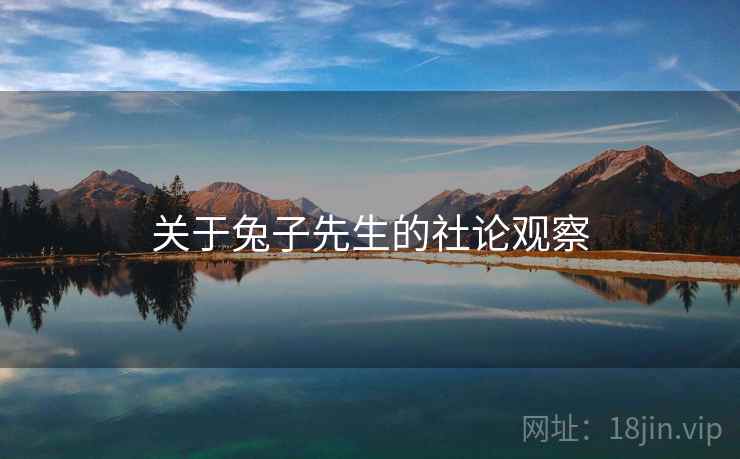 关于兔子先生的社论观察  第2张