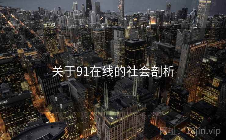关于91在线的社会剖析  第1张