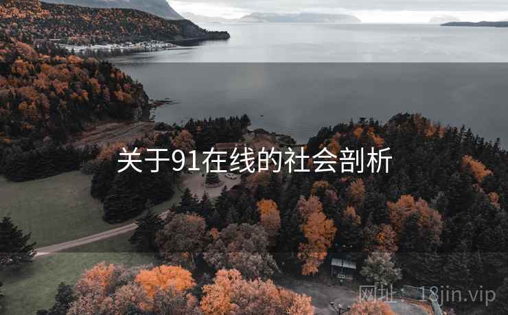 关于91在线的社会剖析  第2张