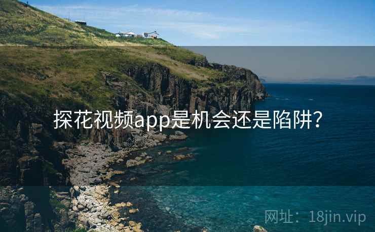 探花视频app是机会还是陷阱？  第2张