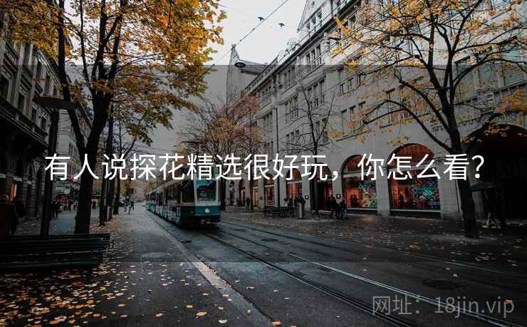 有人说探花精选很好玩，你怎么看？  第2张
