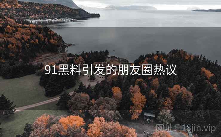 91黑料引发的朋友圈热议  第1张