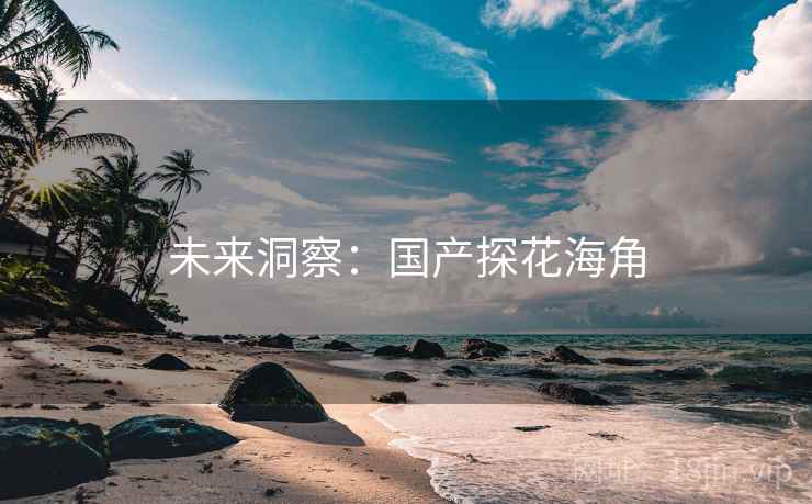 未来洞察：国产探花海角  第2张