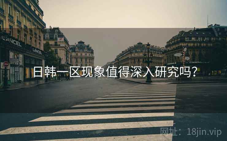 日韩一区现象值得深入研究吗？  第2张