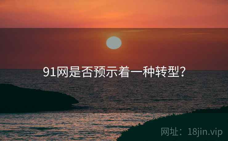 91网是否预示着一种转型？  第2张