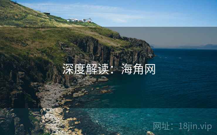 深度解读：海角网  第2张