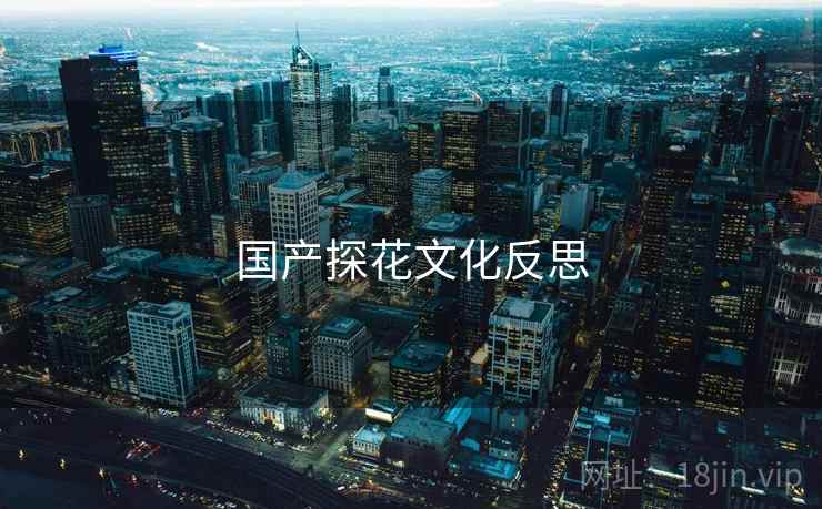 国产探花文化反思  第1张