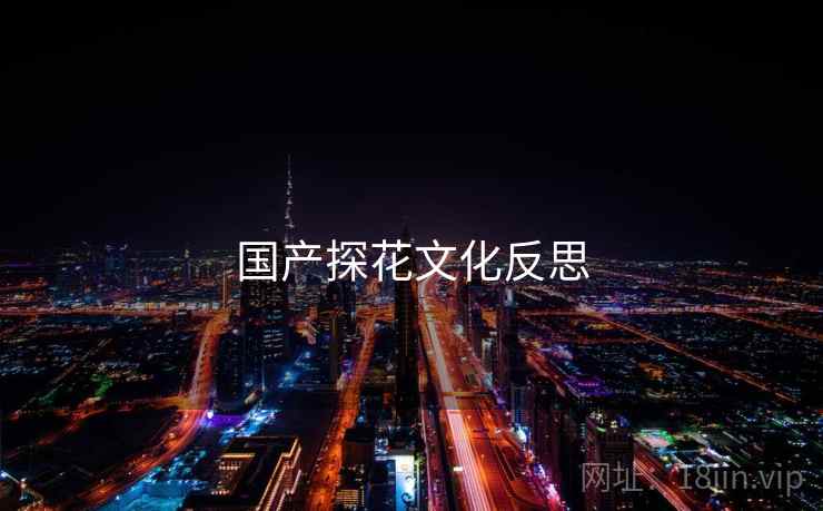 国产探花文化反思  第2张