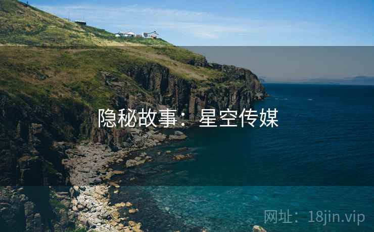 隐秘故事：星空传媒  第2张