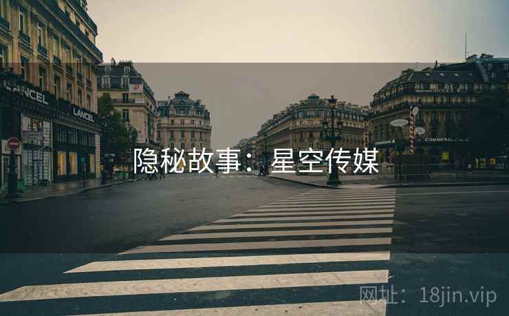 隐秘故事：星空传媒  第1张
