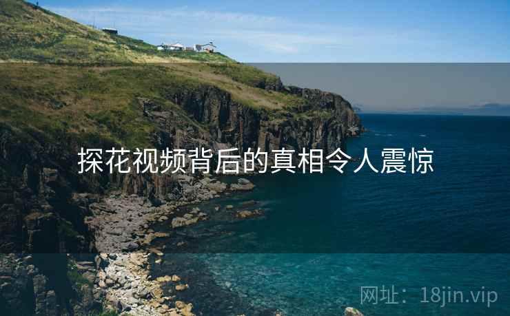 探花视频背后的真相令人震惊  第2张