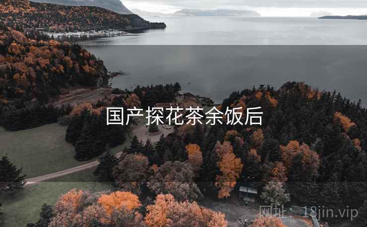 国产探花茶余饭后  第1张 国产探花茶余饭后  第1张