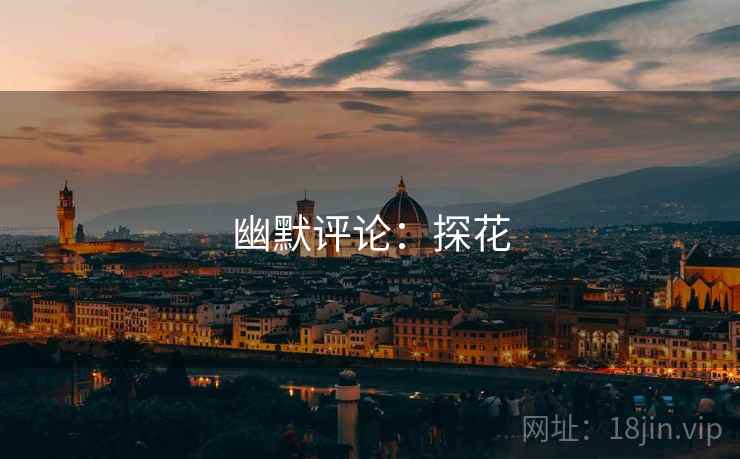 幽默评论:探花  第1张 幽默评论:探花  第1张