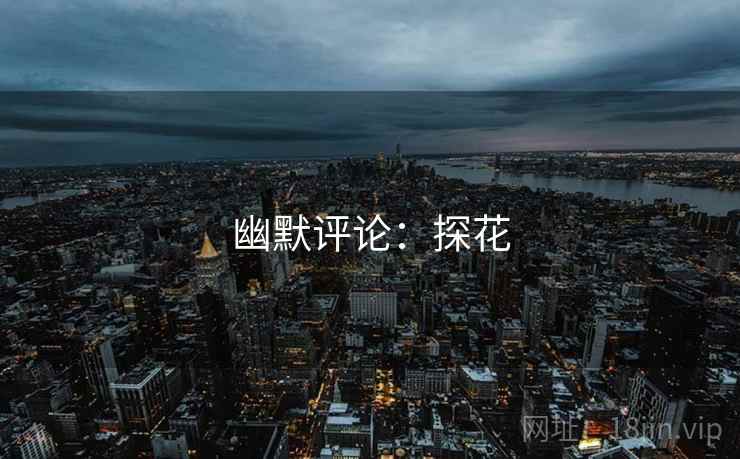 幽默评论:探花  第2张 幽默评论:探花  第2张