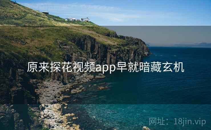 原来探花视频app早就暗藏玄机  第1张 原来探花视频app早就暗藏玄机  第1张