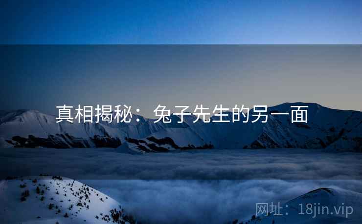 真相揭秘:兔子先生的另一面  第1张 真相揭秘:兔子先生的另一面  第1张
