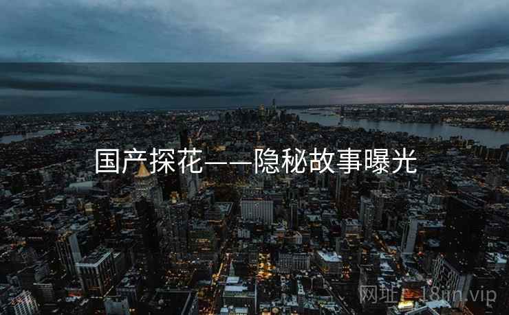 国产探花——隐秘故事曝光  第1张 国产探花——隐秘故事曝光  第1张