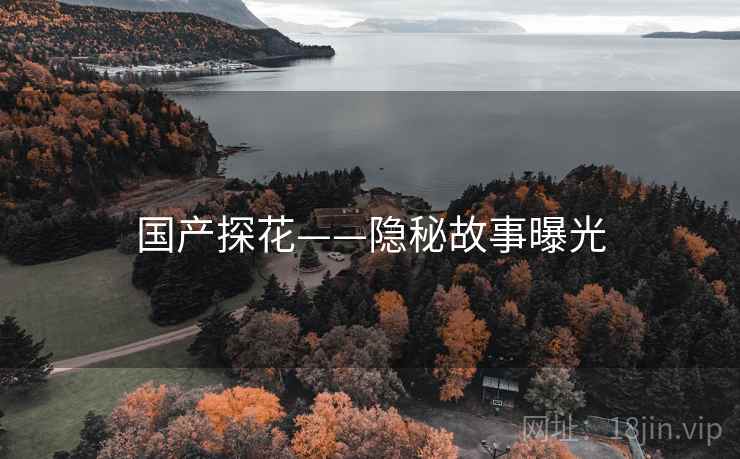 国产探花——隐秘故事曝光  第2张 国产探花——隐秘故事曝光  第2张