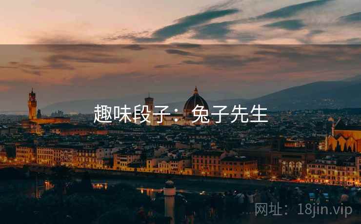 趣味段子:兔子先生  第1张 趣味段子:兔子先生  第1张
