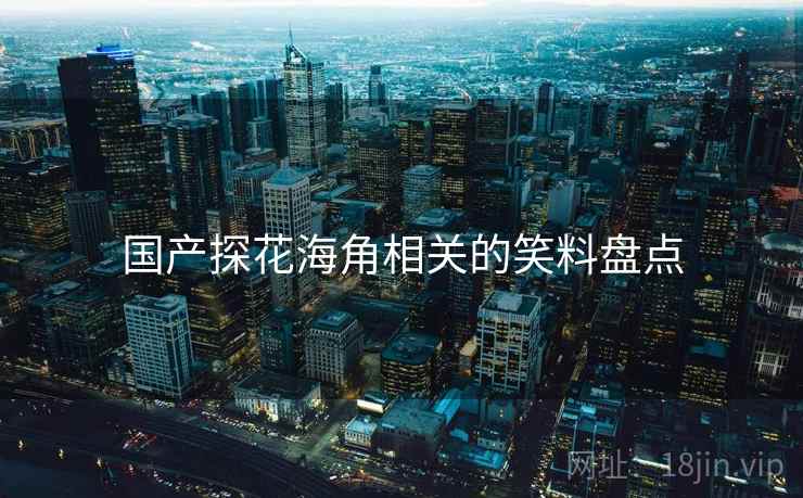 国产探花海角相关的笑料盘点  第2张 国产探花海角相关的笑料盘点  第2张