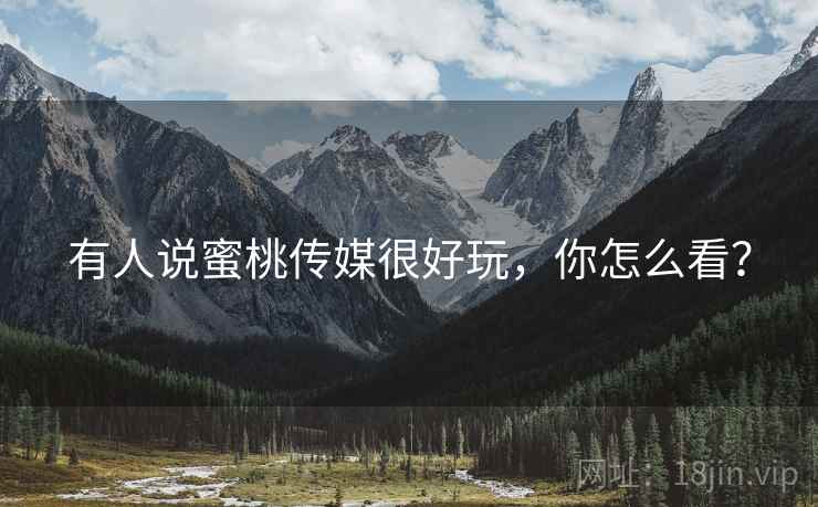有人说蜜桃传媒很好玩,你怎么看?  第1张 有人说蜜桃传媒很好玩,你怎么看?  第1张