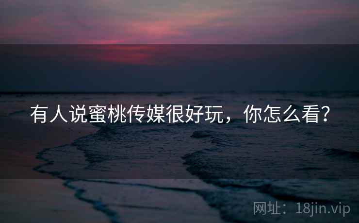 有人说蜜桃传媒很好玩,你怎么看?  第2张 有人说蜜桃传媒很好玩,你怎么看?  第2张