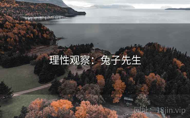 理性观察:兔子先生  第2张 理性观察:兔子先生  第2张
